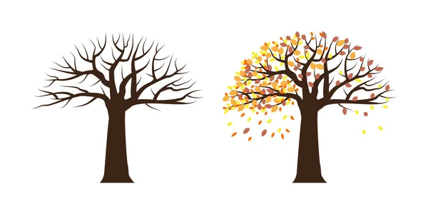 Осеннее дерево. Окраска листьев. Природа иллюстрации. Осенний сезон. Осенний символ. Векторная иллюстрация. Изображение. — стоковый вектор
