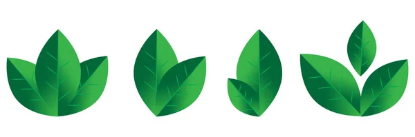 Verde hojas pequeñas icono conjunto. Fondo de arte de la naturaleza. Concepto de ecología. Un emblema orgánico. Ilustración vectorial. Imagen de stock. — Archivo Imágenes Vectoriales