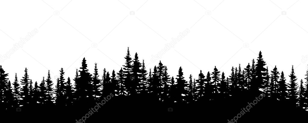 Realistic wood silhouette. Nature landscape. Environment background. Decor art. Vector illustration. Stock image.