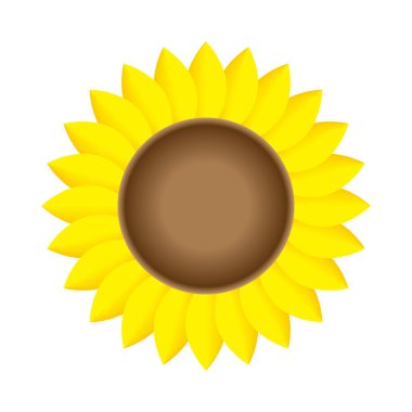 Gerçekçi ayçiçeği ikonu. Çiçek sanatı. Tarım geçmişi. Basit düz dizayn. Vektör çizimi. Resim yükle. 