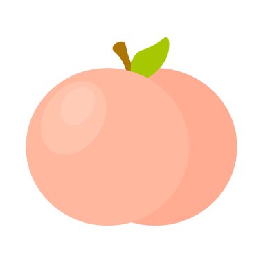 Soluk şeftali meyvesi. Tatlı yaz hasadı. İzole edilmiş Vektör yiyeceği. Yuvarlak turuncu ürün. EPS 10.