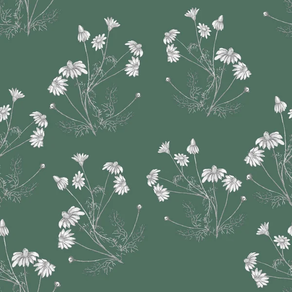 Camomile Floral Hand Drawn Pattern Greyish Green Background — Stock Photo, Image