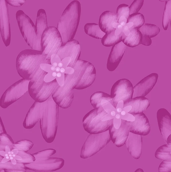 Orchid Pink Magenta Colour Flowers Red Violet Background — Stock Photo, Image