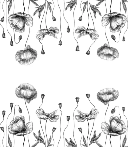 蜡笔画的罂粟在白色的背景上闪烁着不同的图案 — 图库照片