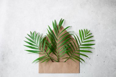 Üzerinde gri beton arka planda yeşil yapraklar olan bir zarf. Minimalist kompozisyon. Doğal organik ürünler kavramı. Düz konum, üst görünüm, kopyalama alanı.