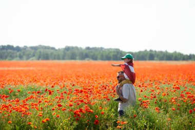 Babası, Letonya bayrağıyla kaplı oğlunu haşhaş tarlasında omuzlarında tutuyordu. Bağımsızlık Günü Bildirgesi. Ligo. Cumhuriyet Bildirgesi. Seyahat et, Letonya dili kavramını öğren.