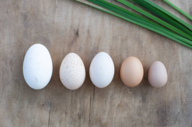 Doğal ahşap arka planda çiftçi yumurtaları. Beş çeşit kuş yumurtası: kaz, hindi, ördek, tavuk ve tavuk yumurtası..