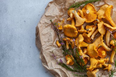 Yaban mantarı mantarı orman çiçekleriyle dolu bir el işi kağıdının üzerinde. Gri beton arkaplan, kopyalama alanı, üst görünüm.