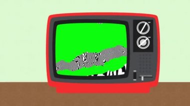 Eskimiş siyah ve beyaz yatay çubuklar ve yeşil ekran entegrasyon için statik gürültü zaplama efekti, düz tasarım antik analog TV seti üzerine odaklan, klasik tarz, kesik, izole edilmiş