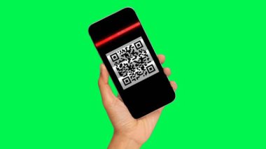 Elinde QR kodu olan bir akıllı telefon, ekranda yeşil arka plan, kroma anahtarı, maket. Cep telefonunda kırmızı yatay hat taraması ve cep telefonu ile QR kodu taraması. E-ticaret, alışveriş, ödeme, temas takip, mağaza için. 4K Döngülü Video.