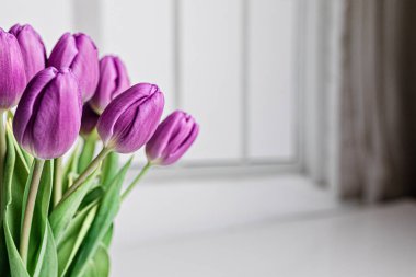 Beyaz bir pencerenin yanında taze toplanmış mor laleler