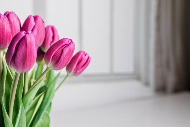 Beyaz bir pencerenin yanında taze toplanmış pembe laleler