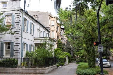 Sakin bir Savannah, Georgia mahallesi tarihi evler ve ağaçlar