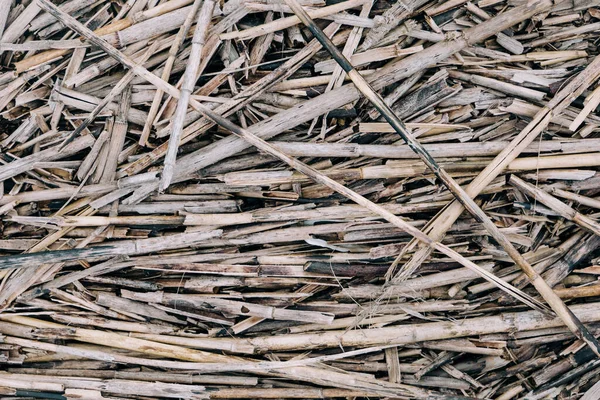 Una vista ravvicinata di piccoli pezzi di bastoncini di legno alla deriva scattedered a terra — Foto Stock