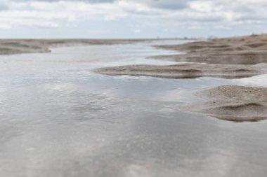 Tybee Adası manzaralı bataklık manzaralı