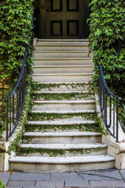 Yeşillik kaplanmış bir bina ya da eve giden merdivenler..