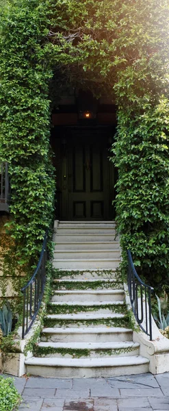 Greenery covered outdoor stairs steps to a building or home.