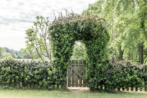 Outdoor backyard or front yard gate covered in greenery