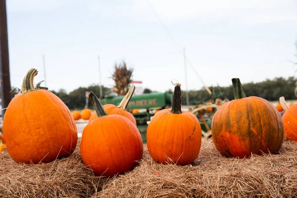 Una fila de calabazas naranjas de otoño sentadas en las balas de heno en un festival de otoño en un parche de calabaza local — Foto de Stock
