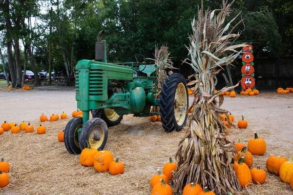 Un tipi de cáscaras de maíz seco en un festival de otoño con calabazas y un tractor antiguo detrás de él — Foto de Stock