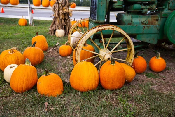 Calabazas naranjas de otoño sentadas cerca de un viejo tractor en un festival de otoño en un parche de calabaza local — Foto de Stock