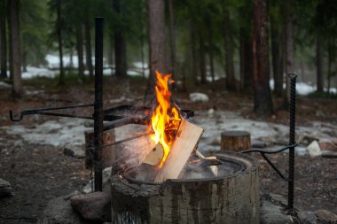 Bahar ormanının başlarında kamp ateşi.