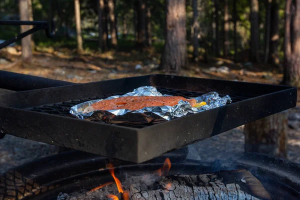 Salmon fillets are grilled on foil on the iron grid over a fire. — Stock Photo, Image