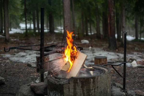 Bahar ormanının başlarında kamp ateşi.