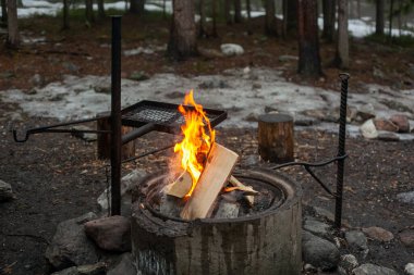 Bahar ormanının başlarında kamp ateşi.