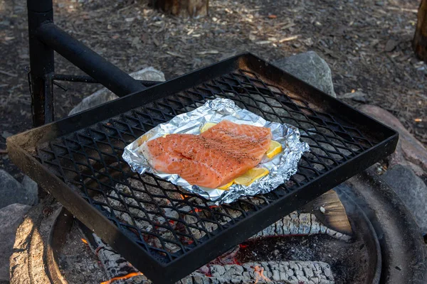 Salmon fillets are grilled on foil on the iron grid over a fire. — Stock Photo, Image