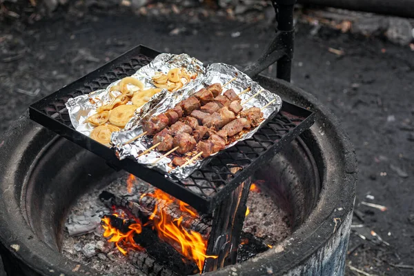 Χοιρινό κεμπάπ και κρεμμύδια ψήνονται στο αλουμινόχαρτο πάνω από μια φωτιά. — Φωτογραφία Αρχείου