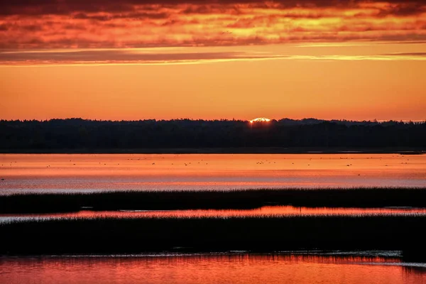 Beautiful sunrise over the lake, early morning, selective focus — Stock Photo, Image