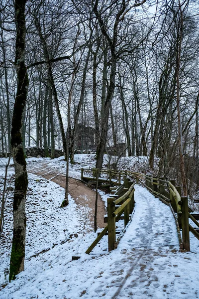 De ruïnes van de 13e eeuw Krimulda Stone Castle en park bij Krimulda in de winter. Krimulda is vlakbij Sigulda, in Letland, Europa — Stockfoto