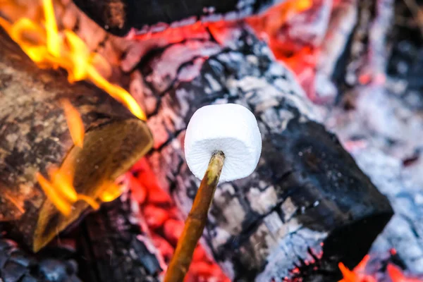 Köstlicher und süßer Eibisch-Braten am Spieß über dem Lagerfeuer. Defokussiert — Stockfoto