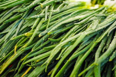 Çiftçi pazarında taze taze taze taze taze soğan. Seçici odak