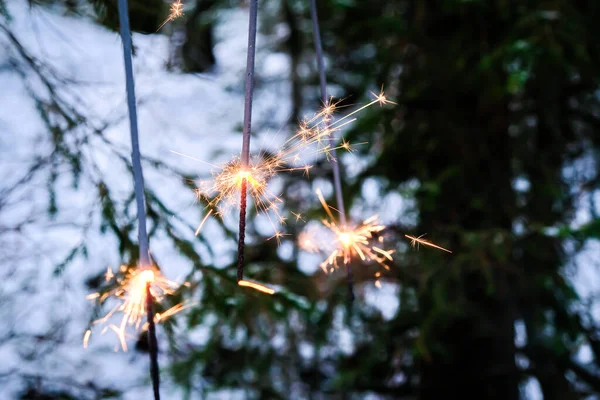 El fuego de Bengala arde al aire libre en un árbol de Navidad. Luces de Bengala en el bosque. Enfoque selectivo — Foto de Stock