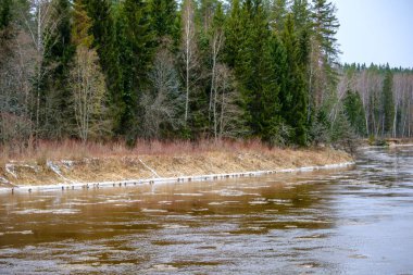 Letonya 'da Gauja Nehri