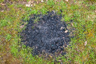 Kamp ateşinden kalan kömür. Doğada kalan şömine, yeşil bir çimenlikte.