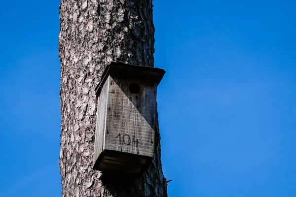 Jaula para pájaros de madera, casa para pájaros en el bosque — Foto de Stock