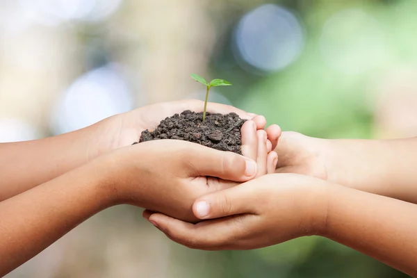 Kind handen met bodem met sprout — Stockfoto