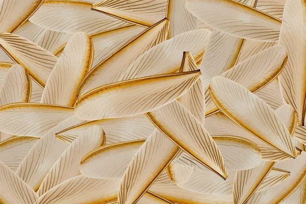 Wing of flying termite — Stock Photo, Image