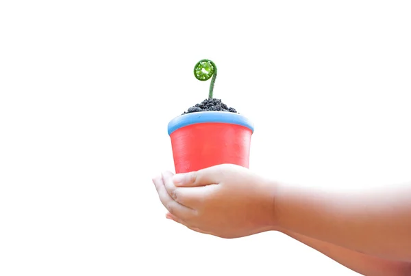 Child hands holding pot with sprout — Stockfoto