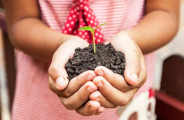 Dziecko gospodarstwa gleby z kiełkować — Zdjęcie stockowe