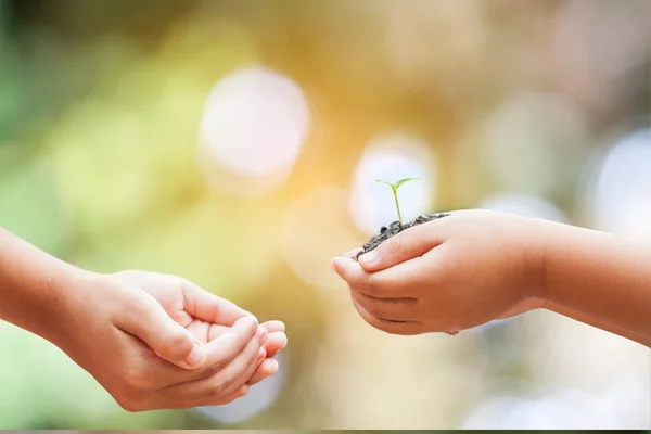 Kind handen met bodem met sprout — Stockfoto