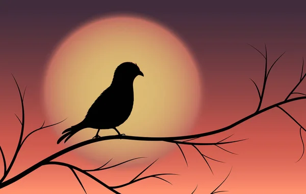 Sylwetka Ptaka Drzewie Zachodzie Słońca Lub Wschodzie Słońca Ilustracja Wektora — Wektor stockowy