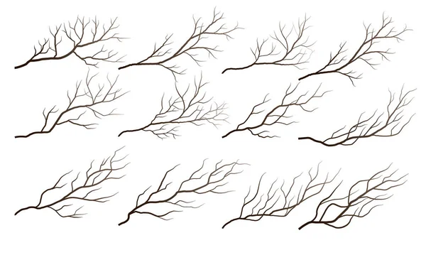 Galhos Árvores Secas Isolados Sobre Fundo Branco Ilustração Vetorial —  Vetores de Stock