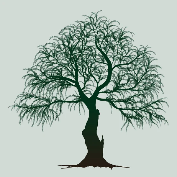Árvores Silhuetas Sobre Fundo Branco Ilustração Vetorial —  Vetores de Stock