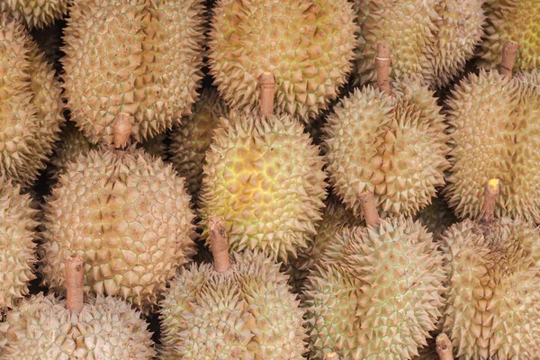 Durian nel mercato — Foto Stock