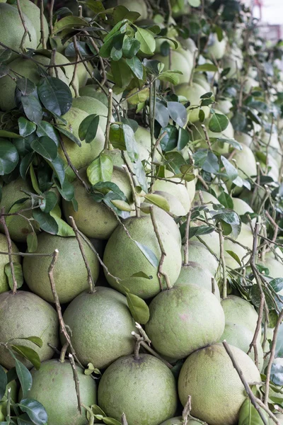 Pomeli al mercato della frutta — Foto Stock