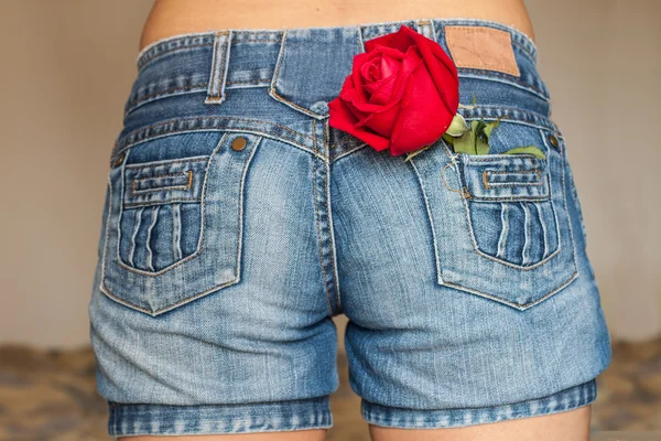 Una rosa nei jeans tascabili . — Foto Stock